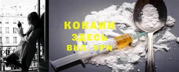 спиды Аркадак